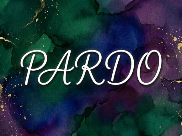 Pardo Display Font for Bold Web Design Projects